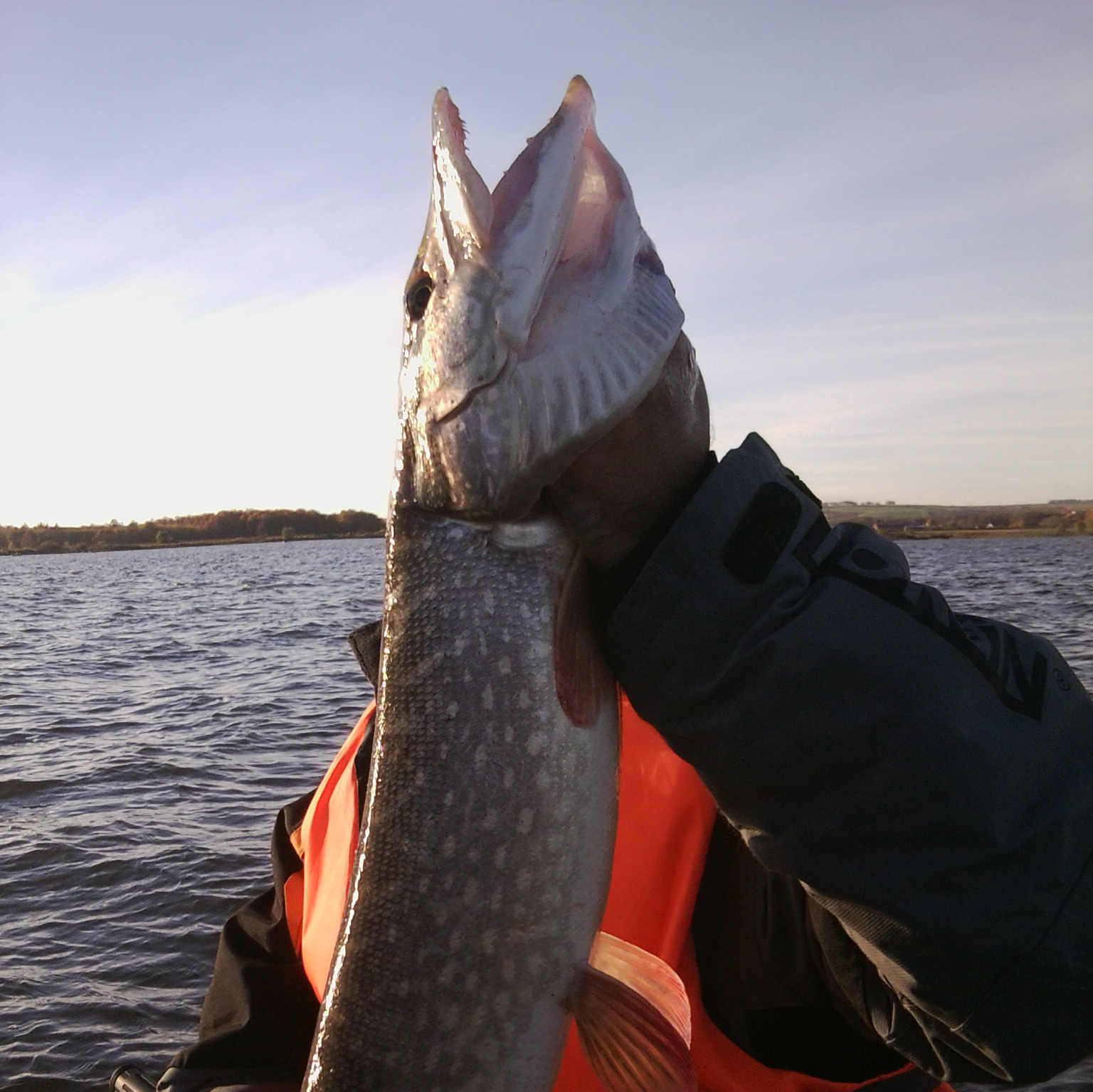 Ловля сазана в пологом займище