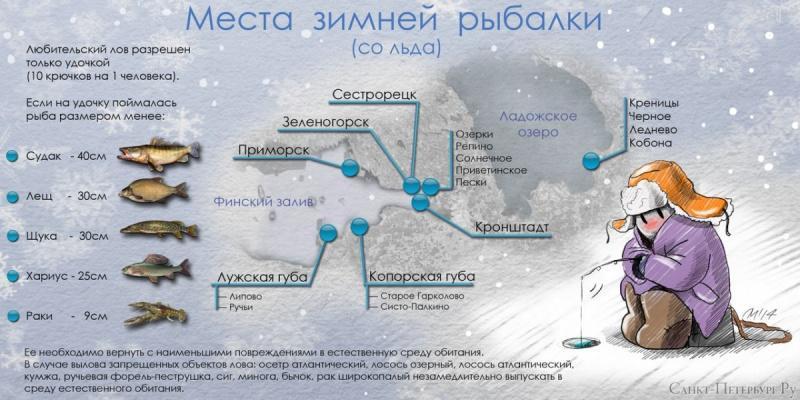 Сроки запрета рыбной ловли в самарской области Сроки запрета рыбной ловли в самарской области